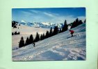 Thollon Les Memises - Ski Sur Le Plateau Des Memines - Thollon