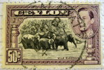 Ceylon 1938 Wild Elephants 50c - Used - Ceylan (...-1947)