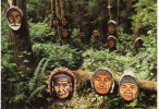Canada-Colombie Britannique, Hetty's Valley Of A Thousand Faces, Sayward,a 45 Mile From Campbell River, Circule Non - Indiani Dell'America Del Nord