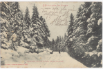 CPA L'HIVER DANS LES VOSGES - EXCURSION PAR LES HAUTES NEIGES - GRANGES - Granges Sur Vologne