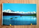 ETATS UNIS ALASKA PICTURESQUE MOUNT MCKINLEY WITH MOOSE IN WONDER LAKE - Altri & Non Classificati