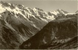 Mürren - Blick Nach Gimmelwald, Alpenpanorama        Ca. 1930 - Wald