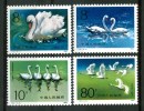 1983 Cina China Cigni Swans Cygnes Uccelli Birds Oiseaux Set MNH** 44 - Neufs
