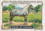 Image / Races De Chevaux - Le Percheron / ( Equitation  Hippisme Race Cheval )  // IM K-26/4 - Nestlé