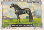 Image / Races De Chevaux - Frison / ( Equitation  Hippisme Race Cheval )  // IM K-26/4 - Nestlé