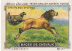 Image / Races De Chevaux - Cheval Des Steppes / ( Equitation  Hippisme Race Cheval )  // IM K-26/4 - Nestlé