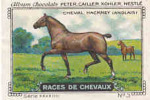 Image / Races De Chevaux - Cheval Hackney Anglais / ( Equitation  Hippisme Race Cheval )  // IM K-26/4 - Nestlé