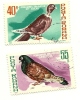 1981 - Romania 3326/27 Uccelli C945    ------- - Pigeons & Columbiformes