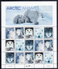 USA MNH Scott #3292a Minisheet Of 3 Strips Of 5 Different 33c Arctic Animals - Volledige Vellen