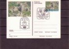 Austria, UNO, Wien, - 1993.Unausphila,  Menschenrechte With Nice Cancellation, - Covers & Documents