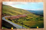 ROYAUME UNI BRECON FROM STOREY ARMS + TIMBRE SCAN R/V - Breconshire