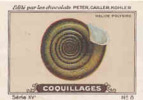 Image Ancienne / Coquillages /  Helice Polygire / Coquillage Shells Shell // IM K-26/6 - Nestlé