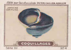 Image Ancienne / Coquillages /  Janthine Commune / Coquillage Shells Shell // IM K-26/6 - Nestlé