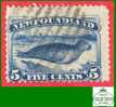 Canada Newfoundland # 55 Scott - Unitrade - O - 5 Cents - Seal - Dated: 1894 / Phoque - 1865-1902