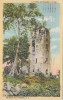 Panama - Ruines Ruins - La Torre De Panama La Vieja - Stamp & Postmark 1941 - 2 Scans - Panamá