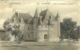 Chateau Des Rioux  Troupeau De Vaches - Courpiere