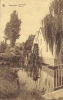 MAESEYCK  - Boschmolen - Moulin à Eau - Uitg. Van Der Donck-Robyns - Maaseik