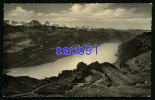 Brienzer-Rothorn (2351 M über M. )-  Blick Von Der Hotelterrasse Auf Den Brienzersee -  Réf :  19245 - Brienz