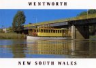 MV Loyalty Cruising The Darling River, Wentworth NSW Unused,  Nucolorvue Card - Other & Unclassified