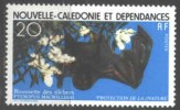 NEW CALEDONIA  -  NATURE PROTECTION - BATS    - 1978  - **MNH - Murciélagos