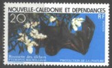NEW CALEDONIA  -  NATURE PROTECTION - BATS    - 1978  - **MNH - Bats