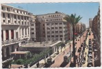 CPM ALGERIE  ALGER   Rue Alfred Leluch - Algiers