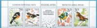 2002  JUGOSLAVIJA JUGOSLAVIA FAUNA  PROTECTED ANIMAL SPECIES WWF BIRDS - Ongebruikt