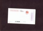 Chine- 2007. Happy New Year Of Pig, - Uncirculated, Numbered,  Postal Stationary - Postkaarten