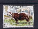 RB 773 - GB 1984 - British Cattle Irish Moiled Cow 31p  - Fine Used Stamp - Animals Cows Theme - Vacas