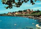 Delcampe - NYON       LE PORT ET LE CHATEAU - Nyon