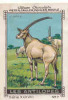 Image /  Les Antilopes : Oryx  / ( Antelope - Antilope Animal Animaux ) / IM K-26/9 - Nestlé