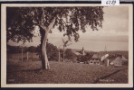 Provence (Vaud) ; Vers 1924 (6289) - Provence