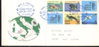 1978 Italia  Tortue Tartaruga Turtle  Foca Seal  Phoque  Nave Vespucci  Civitavecchia Sur Lettre - Against Starve