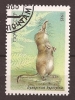Rusia, 1982, Musaraña De Pie ??? - Used Stamps