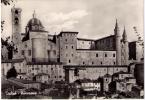 URBINO - PANORAMA - Urbino