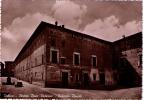 URBINO - PIAZZA DUCA FEDERICO - PALAZZO DUCALE - Urbino