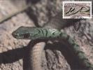 1952 -  Venda 1986 - Carte Maximum - Snakes