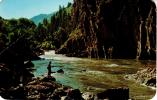 ETATS UNIS : Gunnison River, Famous Of Trout Fishing Along Highway - Sonstige & Ohne Zuordnung