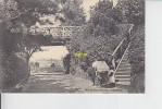 The Rustic Bridge Boscombe - Autres & Non Classés