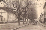 CPA De HAUTERIVES - Avenue De St-Vallier (L. Charvat, Phot., Grand Serre). - Hauterives