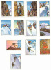 Lot De 12 Images / Dans Nos Alpes Magnifiques / Thème Alpinisme Montagne Alpiniste Cordée Sport  // IM K-26/12 - Nestlé