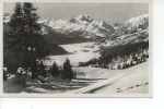 Blick Auf Campfer Silvaplana Und Margna 1933 - Silvaplana