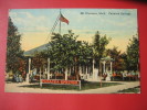 Mt. Clemens MI --- Panacea Springs----  For Liver & Kidney Trouble 1913 Cancel-  ------ref 303 - Altri & Non Classificati