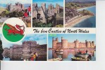 The Five Castles Of North Wales - Sonstige & Ohne Zuordnung