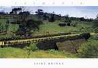 Australia Tasmania - East Coast Spiky Bridge Convict Built Unused - Otros & Sin Clasificación