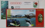 Dolphin,Shark,Scuba Diving,Diver,Fish,CN 02 Qinhuangdao Ocean World Aquarium Ticket Pre-stamped Card - Dauphins