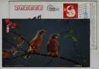 China 2004 Protect Rare And Precious Animal Pre-stamped Card Very Rare Red-throat Finch Estrildidae Bird - Passeri