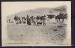 Caravane Traversant Les Dunes De Sable - Algérie - Non Classificati