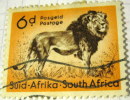 South Africa 1954 Lion 6c - Used - Other & Unclassified
