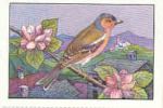 Image / La Voix De Nos Oiseaux / Le Pinson - Il Fringuello -  Buchfink /  ( Oiseau Bird )  / IM 26-K7/3 - Nestlé